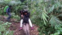 1ab0d95d-00cb-480d-9187-86efc1a4c406